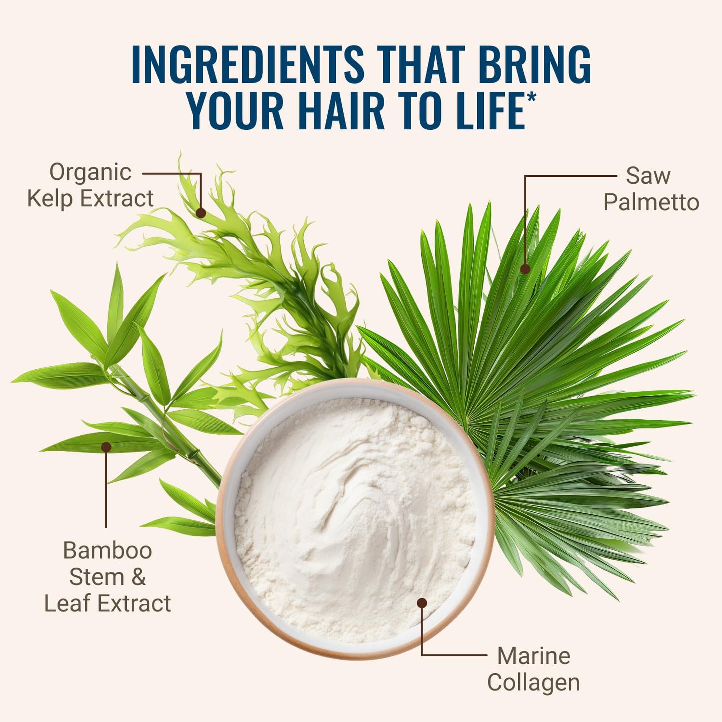 Hair La Vie – Revitalizing Hair Blend by Live Conscious (60 Capsules)
